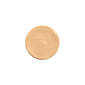 SOFT  MATTE COMPLETE CONCEALER PRALINE