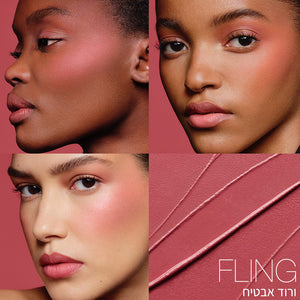 THE MULTIPLE FLING