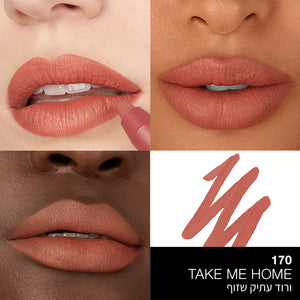 POWERMATTE LIP PENCIL- TAKE ME HOME