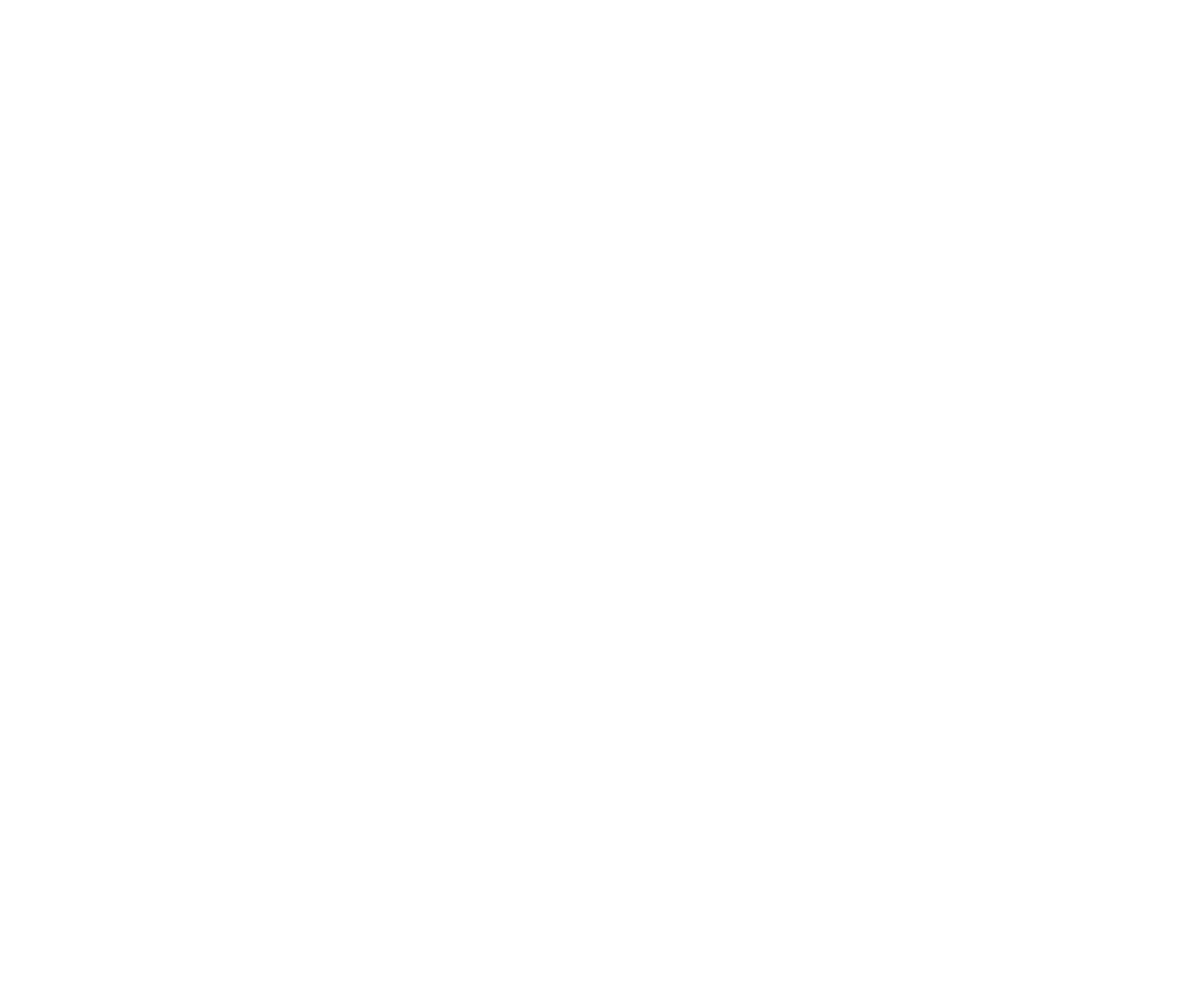 NARS PRO - נארס פרו